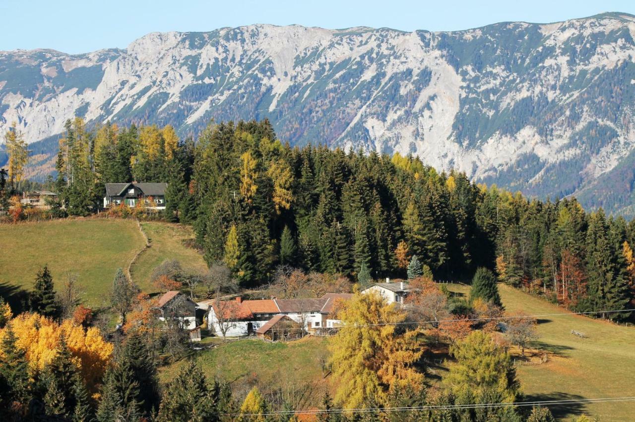Ferienwohnung Holzer Payerbach Dış mekan fotoğraf